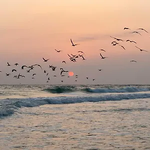Lido Key Hideout With Patio And Yard And Walk To Beach! Sarasota